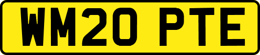WM20PTE