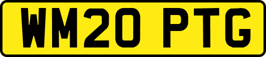 WM20PTG