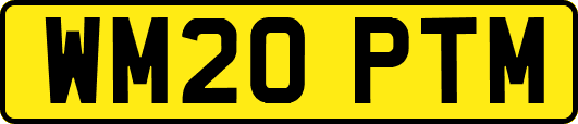 WM20PTM