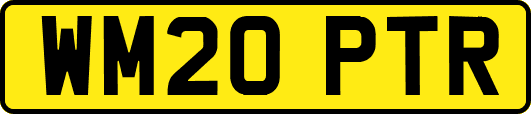 WM20PTR