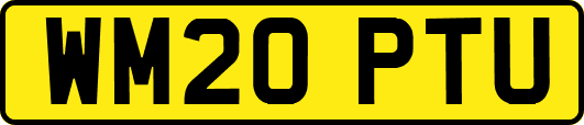 WM20PTU