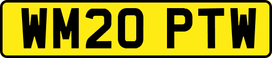WM20PTW