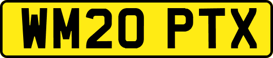 WM20PTX