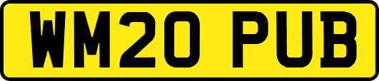 WM20PUB