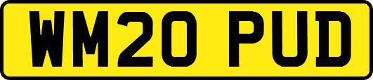 WM20PUD