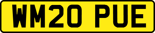 WM20PUE