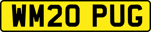 WM20PUG