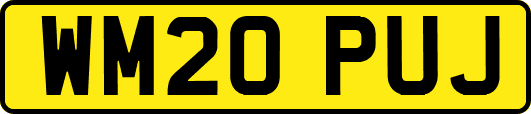 WM20PUJ