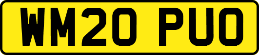 WM20PUO