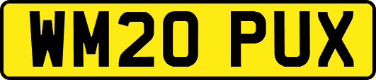 WM20PUX