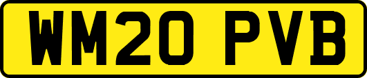 WM20PVB