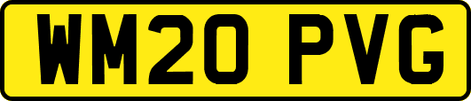 WM20PVG