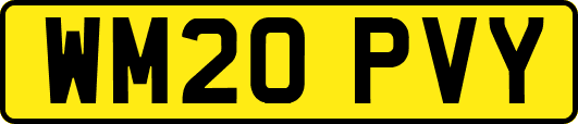 WM20PVY