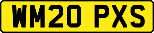 WM20PXS