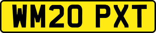 WM20PXT