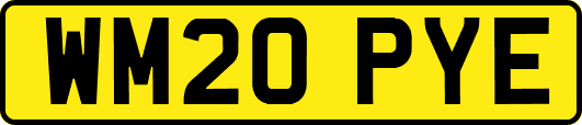 WM20PYE