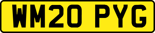 WM20PYG