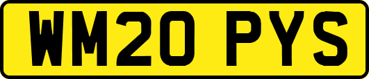 WM20PYS