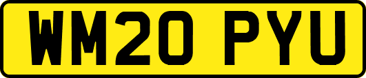 WM20PYU