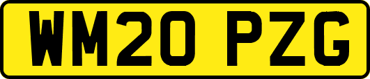 WM20PZG