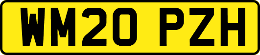 WM20PZH