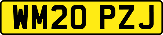 WM20PZJ