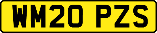 WM20PZS