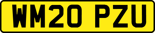 WM20PZU