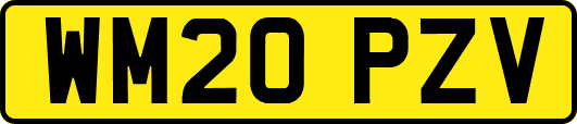WM20PZV