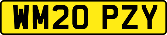 WM20PZY