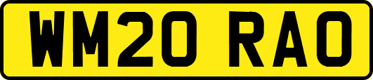 WM20RAO