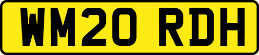 WM20RDH