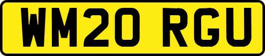 WM20RGU
