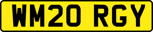 WM20RGY