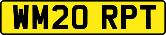 WM20RPT