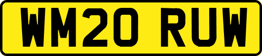 WM20RUW