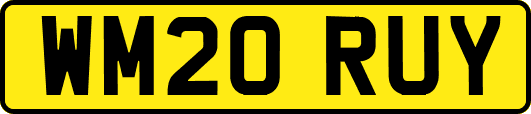 WM20RUY