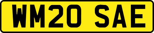 WM20SAE