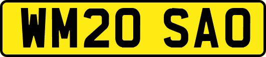 WM20SAO