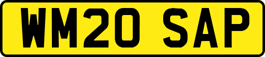WM20SAP