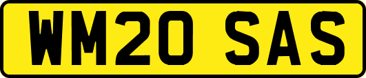 WM20SAS