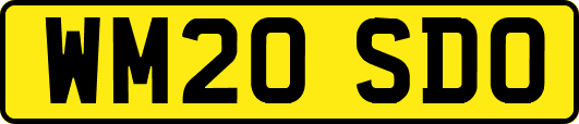 WM20SDO