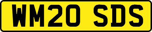 WM20SDS