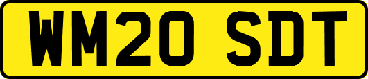 WM20SDT