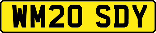 WM20SDY