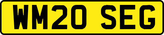 WM20SEG