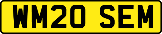 WM20SEM