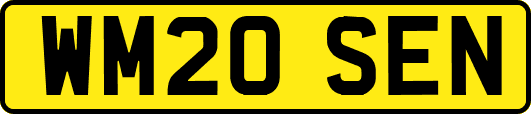 WM20SEN