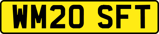 WM20SFT