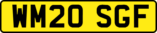 WM20SGF